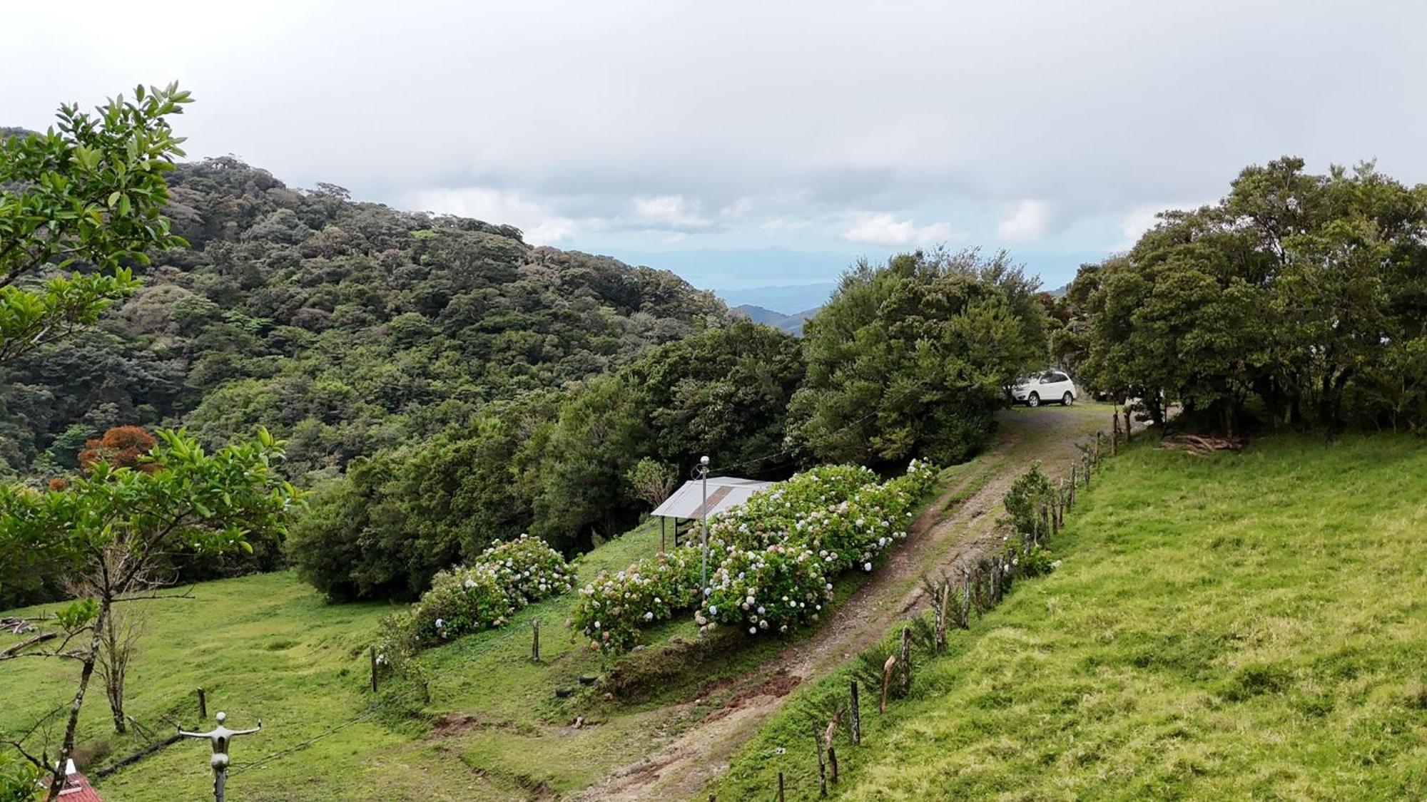 Dadirri House Minicasa Santa Elena Monteverde Εξωτερικό φωτογραφία