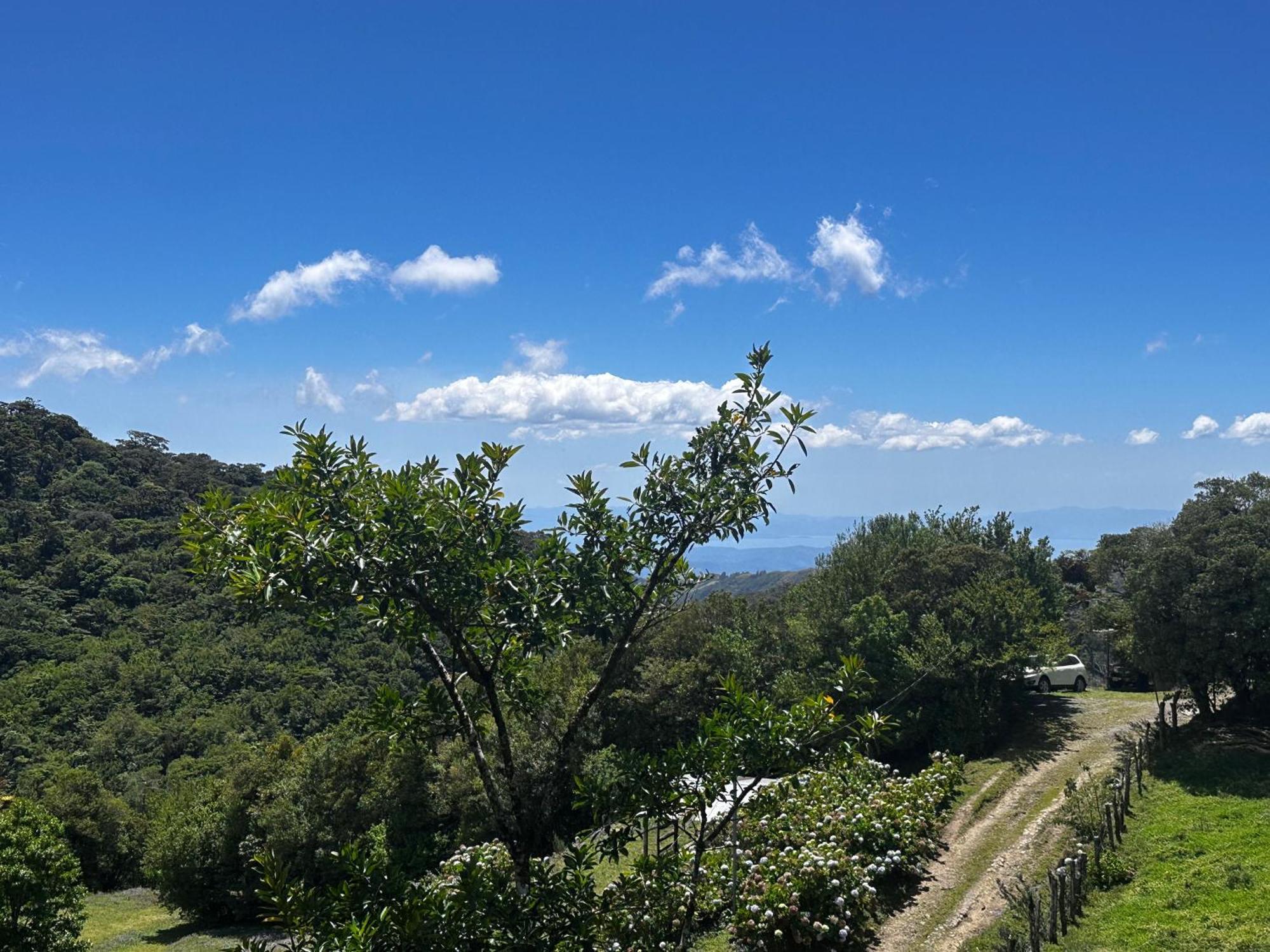 Dadirri House Minicasa Santa Elena Monteverde Εξωτερικό φωτογραφία